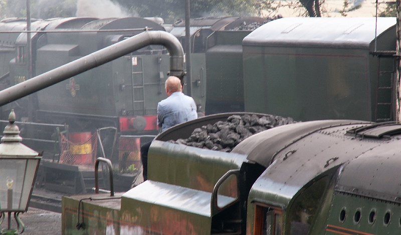 74 Watercress Line.JPG - KONICA MINOLTA DIGITAL CAMERA